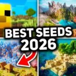 Best Minecraft Seeds for Survival in 2026